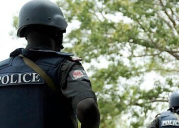 Abia police arrest seven over illegal firearm possession