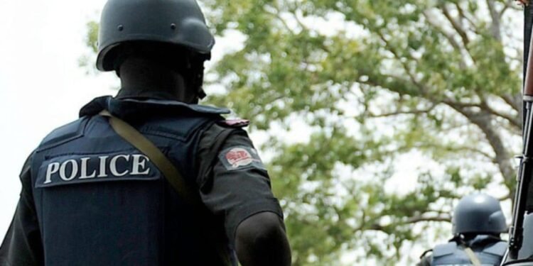 Abia police arrest seven over illegal firearm possession