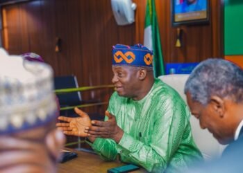 APC National Chairman Says Wike Not a Threat to Ruling Party