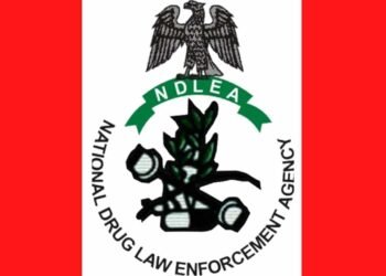 NDLEA Intercepts 64 Bags of Cannabis Hidden in Cement Truck in Kano