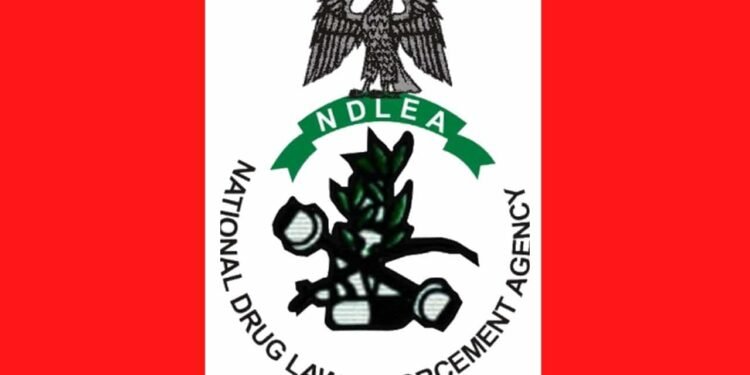 NDLEA Intercepts 64 Bags of Cannabis Hidden in Cement Truck in Kano
