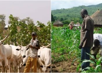 Farmers, Herders Sign 25 Peace Pacts to End Violence in Plateau Communities