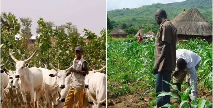 Farmers, Herders Sign 25 Peace Pacts to End Violence in Plateau Communities