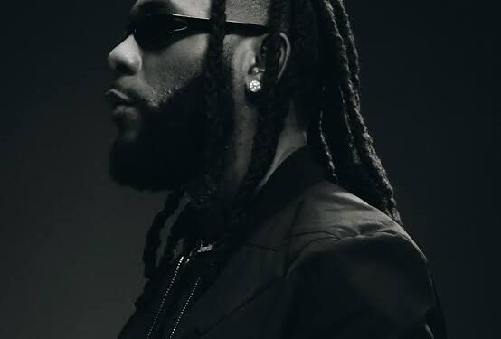 960 Music Group Seeks Court Order to Void Multi-Million-Dollar Burna Boy Catalogue Deal