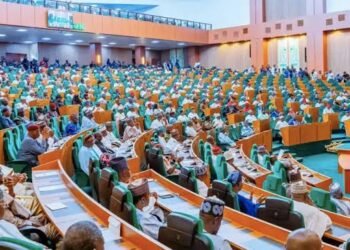 Reps Warn Underfunding of Auditor-General’s Office Could Deepen Corruption