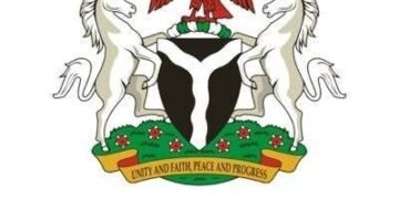 FG Defends £746m Port Modernisation Deal, Insists Nigeria Gains Outweigh Concerns