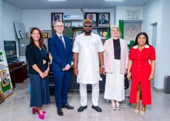 ECN, Business Sweden Advance Talks on Financing Nigeria Renewable Energy Hub