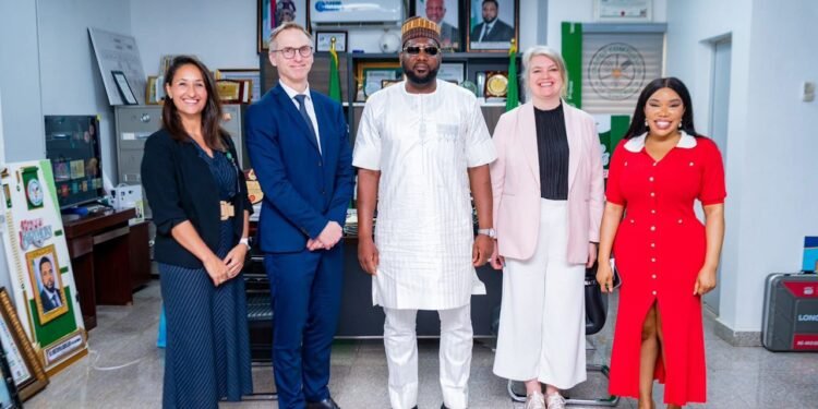 ECN, Business Sweden Advance Talks on Financing Nigeria Renewable Energy Hub