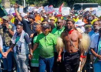 Protests Erupt in South Africa Over Installation of ‘Nigerian King’