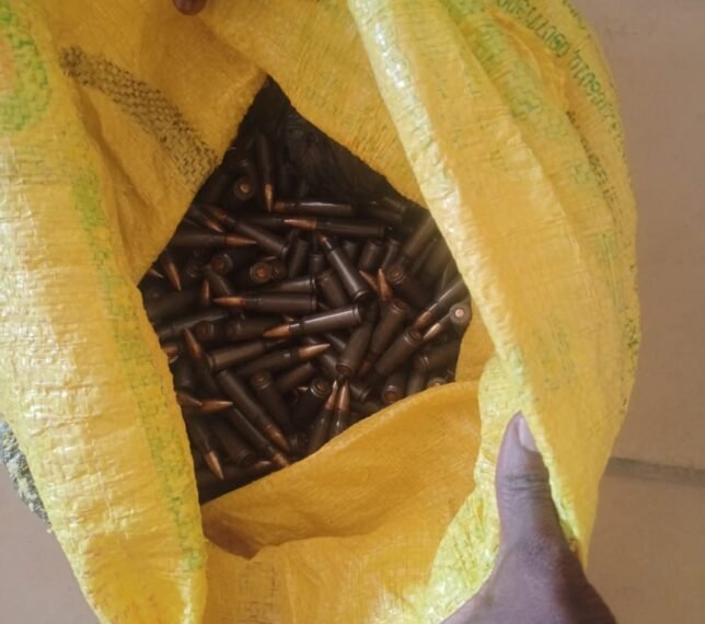 Police Arrest Suspect with 800 Rounds of Ammunition in Zamfara