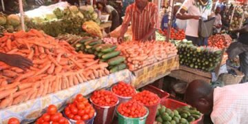 Nigeria’s Agricultural Sector Attracts $167.25m in Capital Inflows