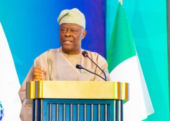 Nigeria’s Economy Experiencing Shock – Edun