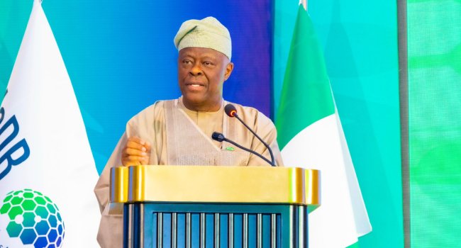 Nigeria’s Economy Experiencing Shock – Edun