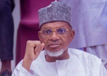 Kebbi Assembly Speaker Dies in Egypt