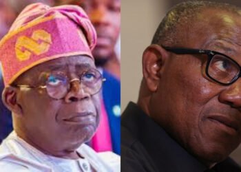 2027: Obi-North Pairing Can Defeat Tinubu — Udenta