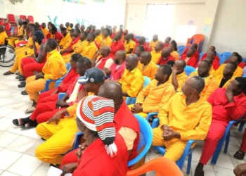 Nigerian Inmates in Ethiopia Celebrate Prisoner Transfer Deal, Express Gratitude to Tinubu