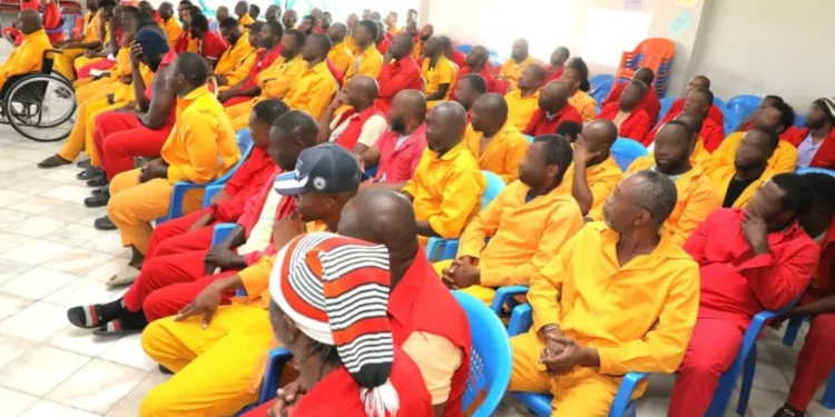 Nigerian Inmates in Ethiopia Celebrate Prisoner Transfer Deal, Express Gratitude to Tinubu