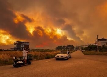 Wildfire Forces Evacuations In Eastern England, Nuclear Sites Remain Safe