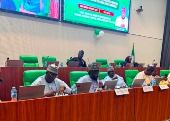 PFIPC Probe: Reps Panel Summons Foreign Affairs Minister, NSA Over Alleged Fake Agency