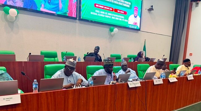 PFIPC Probe: Reps Panel Summons Foreign Affairs Minister, NSA Over Alleged Fake Agency