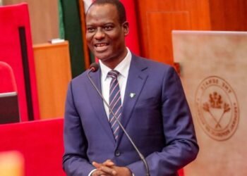Nigeria’s Financial Stability Depends on Public Trust, Strong Deposit Insurance – Oyedele