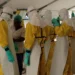 WHO reports 828 Ebola deaths as DRC outbreak surpasses 2,100 confirmed cases