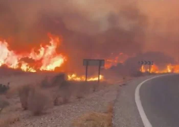 Wildfire Kills At Least 11 in Southern Spain as 19 Remain Missing