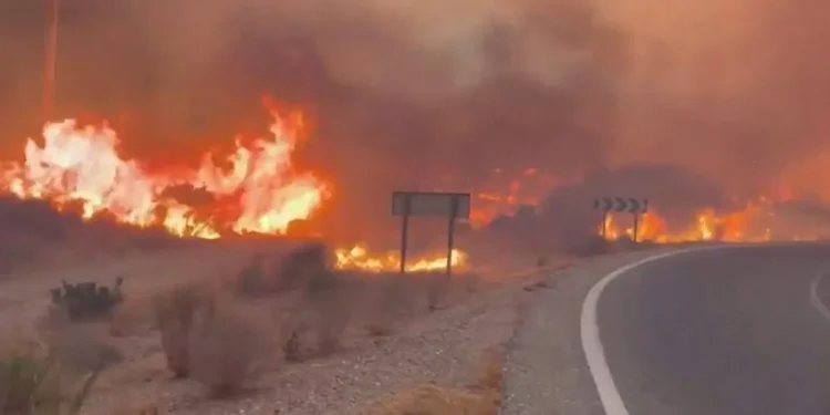 Wildfire Kills At Least 11 in Southern Spain as 19 Remain Missing