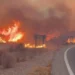 Wildfire Kills At Least 11 in Southern Spain as 19 Remain Missing